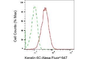 Flow cytometric analysis of Keratin 6C expression in HepG2 cells using Keratin 6C antibody (ABIN7799184), 1:2,000). (Recombinant Keratin 6C 抗体)