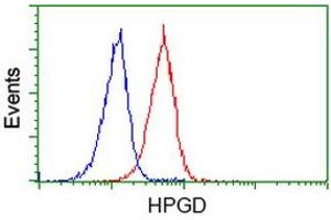 Image no. 5 for anti-Hydroxyprostaglandin Dehydrogenase 15-(NAD) (HPGD) antibody (ABIN1496361) (HPGD 抗体)