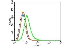 Flow Cytometry (FACS) image for anti-Solute Carrier Family 6 (Neurotransmitter Transporter, Dopamine), Member 3 (SLC6A3) (AA 251-350) antibody (ABIN733373)