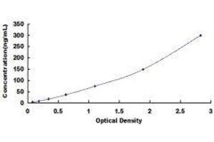 Complement Component C4b (C4b) ELISA Kit
