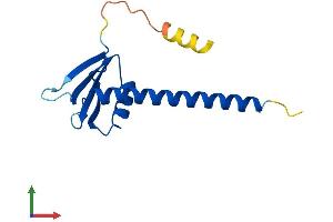 Protein Structure (PS) image for Polymerase (RNA) I Polypeptide D, 16kDa (POLR1D) (AA 1-133) protein (His tag) (ABIN7556777)
