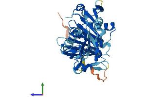 Protein Structure (PS) image for Capping Protein (Actin Filament), Gelsolin-Like (CAPG) (AA 1-348) protein (His tag) (ABIN7552963)