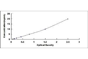 Typical standard curve (Annexin IV ELISA 试剂盒)
