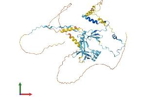 Protein Structure (PS) image for Paf1, RNA Polymerase II Associated Factor, Homolog (PAF1) (AA 1-531) protein (His tag) (ABIN7554882)