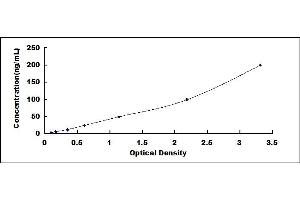 Typical standard curve (C1S ELISA 试剂盒)