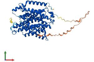 Protein Structure (PS) image for Rh Family C Glycoprotein (RHCG) (AA 1-498) protein (His tag) (ABIN7561754)