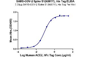 ELISA image for SARS-CoV-2 Spike S1 (N501Y) protein (His tag) (ABIN7274394)