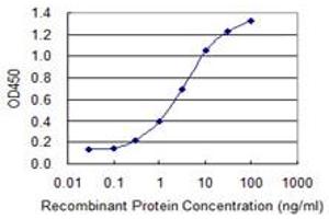Detection limit for recombinant GST tagged SOX12 is 0. (SOX12 抗体  (AA 252-313))