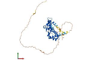 Protein Structure (PS) image for Melanoma Antigen Family A, 12 (MAGEA12) (AA 1-314) protein (His tag) (ABIN7549270)