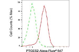 anti-Prostaglandin E Synthase 2 (PTGES2) antibody