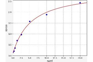 Typical standard curve (alpha-Fetoprotein L3 ELISA 试剂盒)