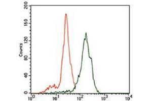 Flow cytometric analysis of SK-N-SH cells using ID2 mouse mAb (green) and negative control (purple).