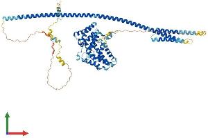Protein Structure (PS) image for GLE1 RNA Export Mediator (GLE1) (AA 1-699) protein (His tag) (ABIN7559720)