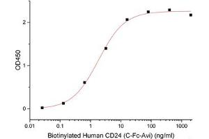 ELISA image for CD24 Molecule (CD24) (Active) protein (Biotin) (ABIN7319889) (CD24 Protein (Biotin))