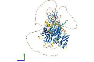 Protein Structure (PS) image for Inturned Planar Cell Polarity Effector Homolog (INTU) (AA 1-942) protein (His tag) (ABIN7554175)