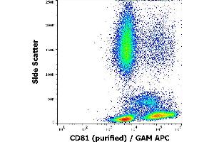 Flow cytometry surface staining pattern of human peripheral blood stained using anti-human CD81 (M38) purified antibody (concentration in sample 4 μg/mL) GAM APC. (CD81 抗体)