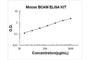 Basal Cell Adhesion Molecule (Lutheran Blood Group) (BCAM) ELISA Kit