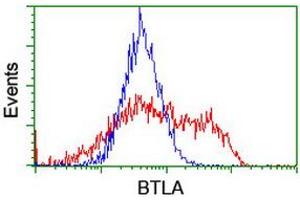 Image no. 3 for anti-B and T Lymphocyte Associated (BTLA) antibody (ABIN1496980) (BTLA 抗体)