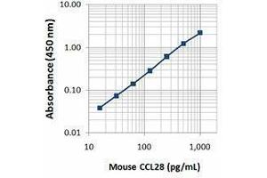 ELISA image for anti-Chemokine (C-C Motif) Ligand 28 (CCL28) antibody (Biotin) (ABIN2660745) (CCL28 抗体  (Biotin))