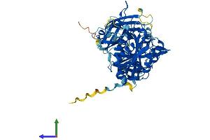 AlphaFold protein structure predicition of Human Recombinant CPNE9 Protein, UniprotID Q8IYJ1