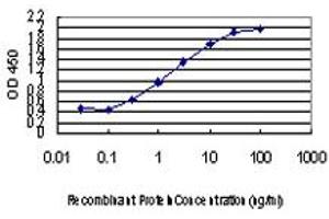 ELISA image for anti-Zic Family Member 4 (ZIC4) (AA 249-320) antibody (ABIN466252) (ZIC4 抗体  (AA 249-320))