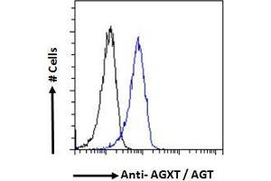 ABIN570702 Flow cytometric analysis of paraformaldehyde fixed HepG2 cells (blue line), permeabilized with 0. (AGXT 抗体  (Internal Region))