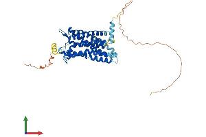 Protein Structure (PS) image for G Protein-Coupled Receptor 182 (GPR182) (AA 1-404) protein (His tag) (ABIN7548124)