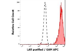 Separation of HeLa cells stained using anti-human LAR (W7C6) purified antibody (concentration in sample 1. (PTPRF 抗体)