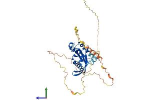 Protein Structure (PS) image for RAS (RAD and GEM)-Like GTP Binding 2 (REM2) (AA 1-341) protein (His tag) (ABIN7559914)