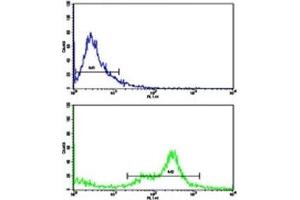 Flow Cytometry (FACS) image for anti-Complement Component 6 (C6) (AA 30-58) antibody (ABIN3029693)