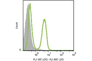 Surface staining of CD3 in murine splenocytes with anti-CD3 (145-2C11) FITC. (CD3 抗体  (FITC))