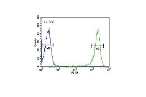 Flow Cytometry (FACS) image for anti-Proteasome (Prosome, Macropain) Subunit, beta Type, 1 (PSMB1) (AA 214-241), (C-Term) antibody (ABIN652802)