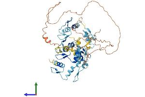 Protein Structure (PS) image for Zinc Finger Protein 382 (ZNF382) (AA 1-550) protein (His tag) (ABIN7545321)
