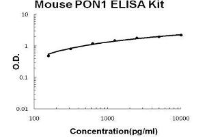 Mouse PON1 PicoKine ELISA Kit standard curve (PON1 ELISA 试剂盒)