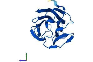 Protein Structure (PS) image for Lectin, Galactoside-Binding, Soluble, 13 (LGALS13) (AA 1-139) protein (His tag) (ABIN7550910)