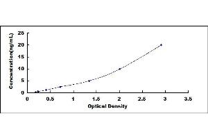 Cytochrome C Oxidase Subunit II (COX2) ELISA Kit