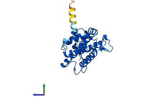 AlphaFold protein structure predicition of Human Recombinant MOB4 Protein, UniprotID Q9Y3A3