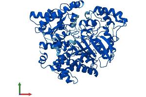 Protein Structure (PS) image for Urocanate Hydratase 1 (UROC1) (AA 1-676) protein (His tag) (ABIN7548356)