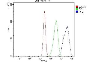 Flow Cytometry analysis of CACO-2 cells using anti-TJP2/ZO2 antibody (ABIN7602800).
