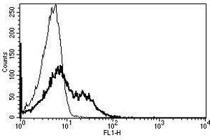 A typical staining pattern with the B-G27 monoclonal antibody of lymphocytes (FAS 抗体)