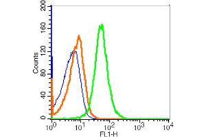 Mouse thymus cells probed with CD45 Polyclonal Antibody, FITC Conjugated (bs-10599R-FITC) at 1:20 for 30 minutes compared to control cells (blue)and isotype control (orange). (CD45 抗体  (AA 451-550) (FITC))