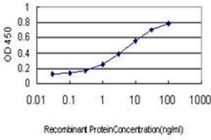 Detection limit for recombinant GST tagged BUB1B is approximately 0. (BUB1B 抗体  (AA 1-130))