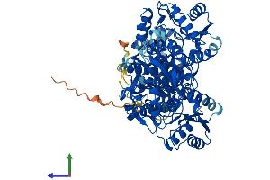 Protein Structure (PS) image for phosphofructokinase, Platelet (PFKP) (AA 1-784) protein (His tag) (ABIN7550679)