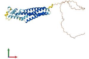 Protein Structure (PS) image for Tetraspanin 32 (TSPAN32) (AA 1-320) protein (His tag) (ABIN7544876)