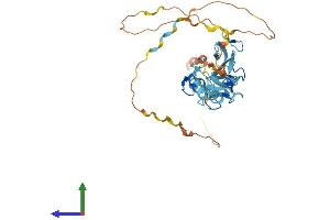 Protein Structure (PS) image for Filamin Binding LIM Protein 1 (FBLIM1) (AA 1-373) protein (His tag) (ABIN7547559)
