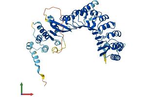 AlphaFold protein structure predicition of Human Recombinant PRAMEF7 Protein, UniprotID Q5VXH5