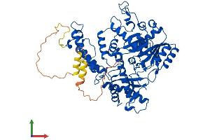 Protein Structure (PS) image for Glutamate Decarboxylase 2 (Pancreatic Islets and Brain, 65kDa) (GAD2) (AA 1-585) protein (His tag) (ABIN7563310)