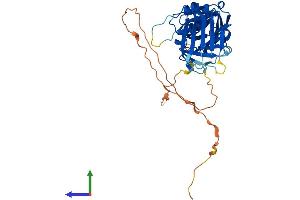 Protein Structure (PS) image for RAD9 Homolog A (S. Pombe) (RAD9A) (AA 1-389) protein (His tag) (ABIN7565253)