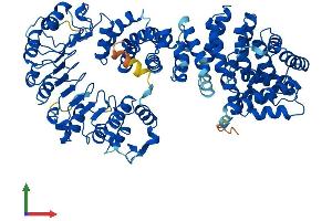 AlphaFold protein structure predicition of Human Recombinant ZYG11B Protein, UniprotID Q9C0D3 (ZYG11B Protein (AA 1-744) (His tag))