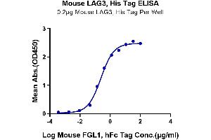 ELISA image for Lymphocyte-Activation Gene 3 (LAG3) (AA 23-442) protein (His tag) (ABIN7275116)